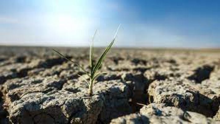 "Без оросительных систем сельскому хозяйству на юге Украины делать нечего". Эксперт рассказал, что ждет Мелитопольщину в ближайшие годы