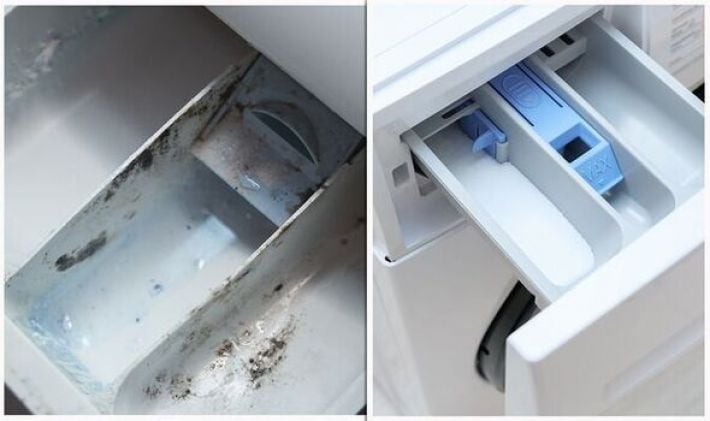 Дешевое домашнее средство поможет избавиться от плесени в стиральной машине: исчезнет даже запах