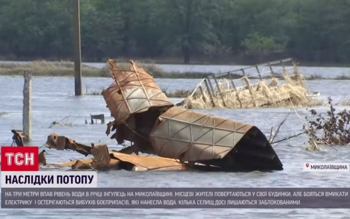 На крышах пасутся куры, а гуси плавают на огородах: в Николаевской области отступает вода, а люди ужасаются от последствий