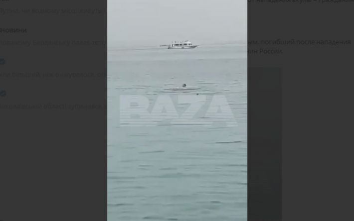 В Египте акула приплыла к берегу, потащила и съела русского туриста