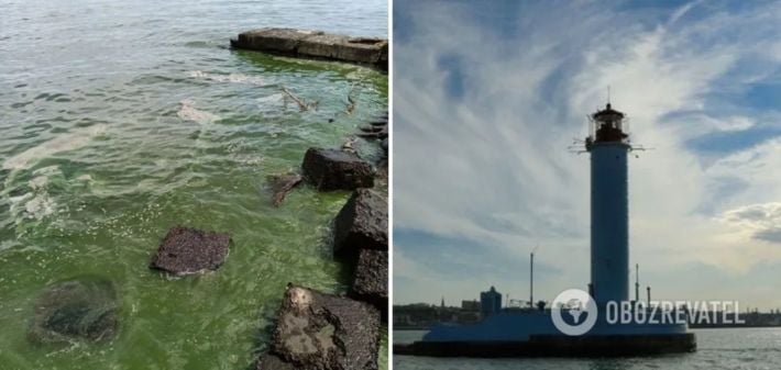 Уже не Черное: море в Одессе "зацвело" токсичными бактериями, специалисты объяснили причину. Фото