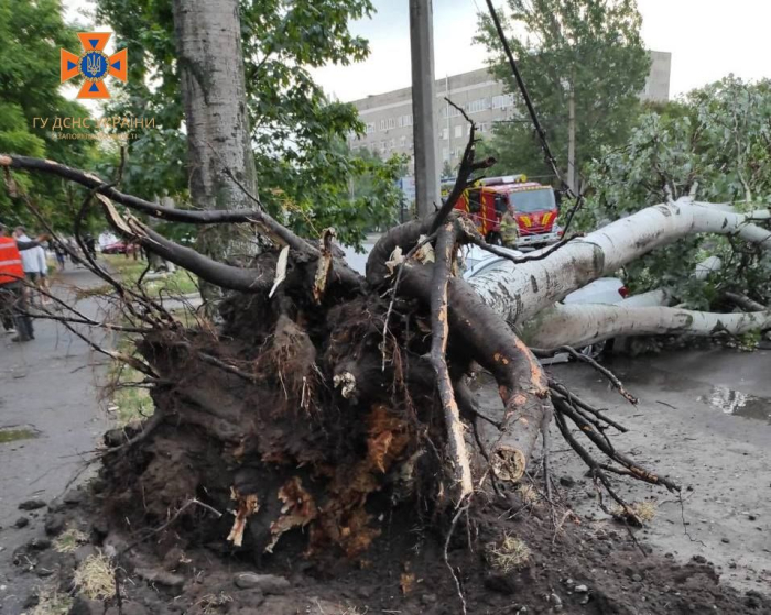 Негода у Запоріжжі 17 липня: через сильний вітер дерева попадали на автівки.