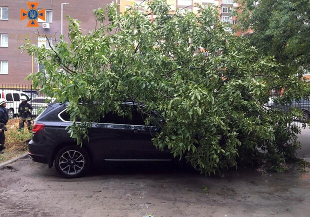 Негода у Запоріжжі 17 липня: через сильний вітер дерева попадали на автівки. 