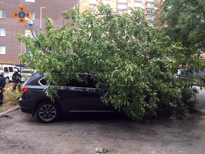 Негода у Запоріжжі 17 липня: через сильний вітер дерева попадали на автівки.