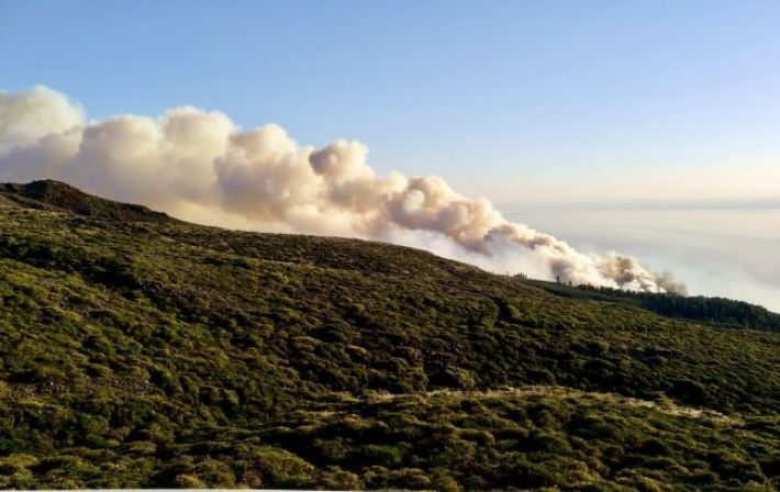 Лесной пожар на Канарах. С острова эвакуировали более 4000 человек