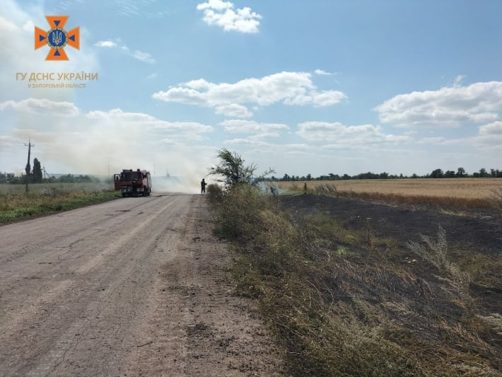 Запорожские спасатели остановили огонь на хлебном поле