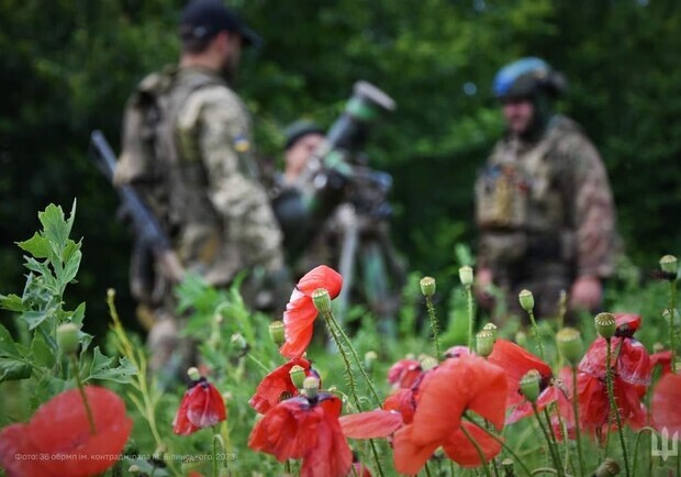 Мапа бойових дій в Україні 19 серпня. 