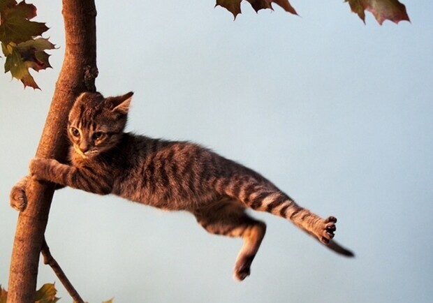 Перепаркуйте авто: у Запоріжжі оголосили штормове попередження. 