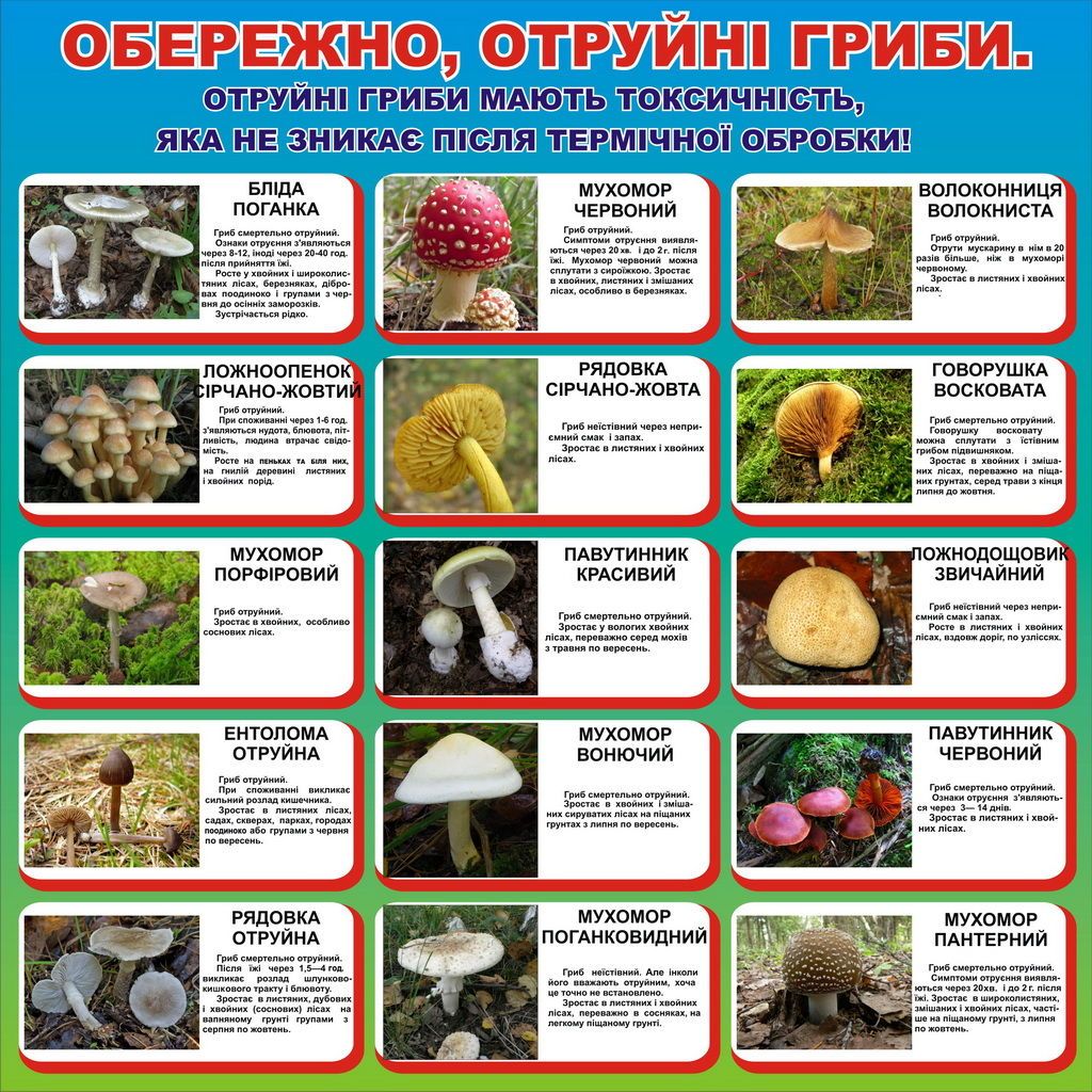 Зафіксовані отруєння в Броварському, Бориспільському, Білоцерківському та Обухівському районах.