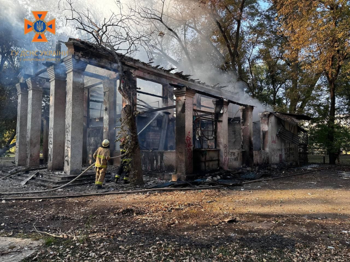 У Запоріжжі в парку "Дубовий Гай" сталася пожежа: рятувальники показали наслідки.