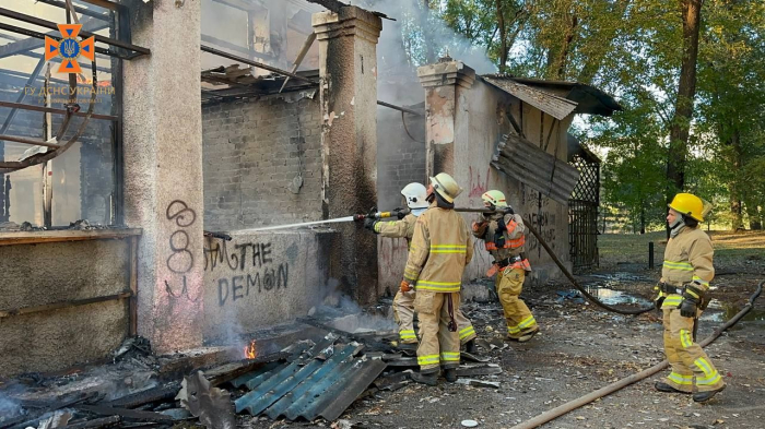 У Запоріжжі в парку "Дубовий Гай" сталася пожежа: рятувальники показали наслідки.