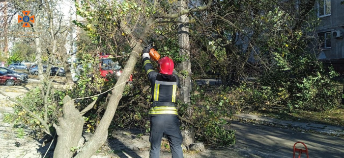 Рятувальники показали наслідки шквального вітру у Запоріжжі