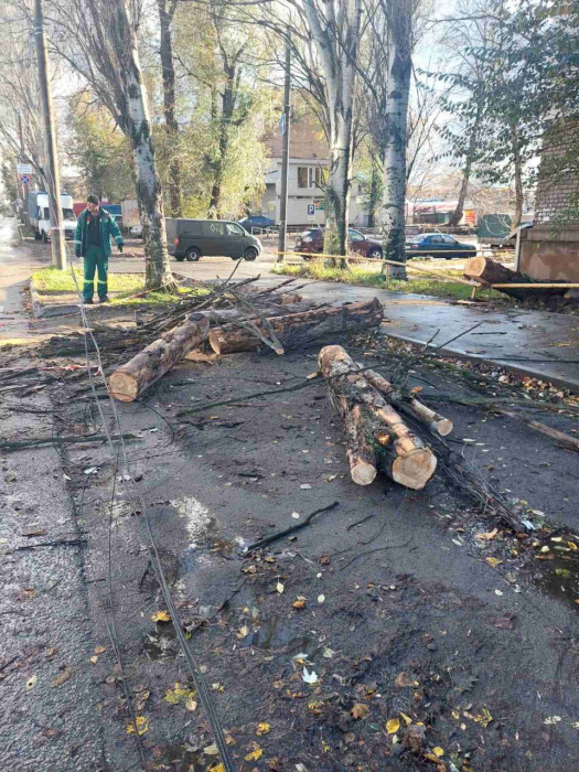 Наслідки вітру у Запоріжжі -