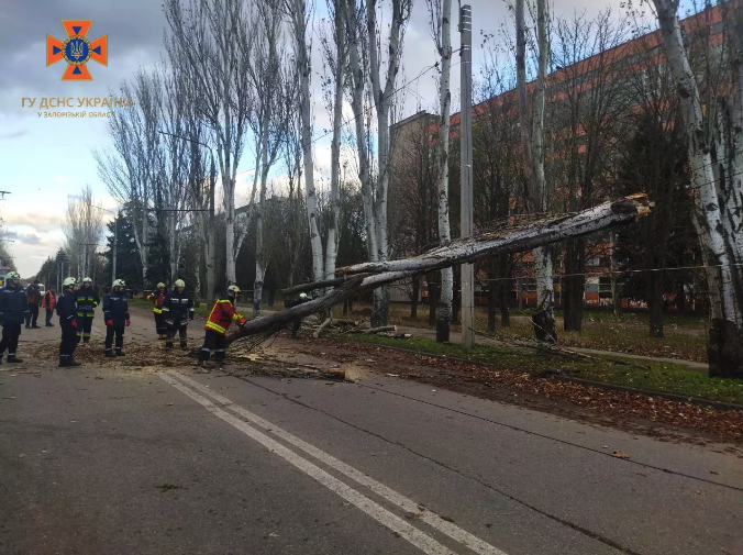 Наслідки вітру у Запоріжжі -