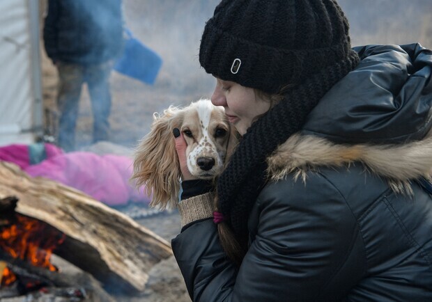 Із Запоріжжя волонтери евакуювали тварин, які постраждали через війну. 