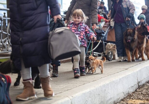 У Запоріжжі зареєстровано понад 157 тисяч вимушених переселенців. 