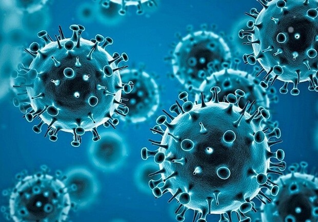 В Україні зареєстрували перший випадок нового коронавірусу «Пірола»: симптоми. 