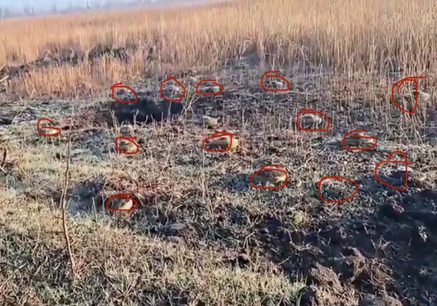 Військові показали щільно заміновані поля у Запорізькій області. 