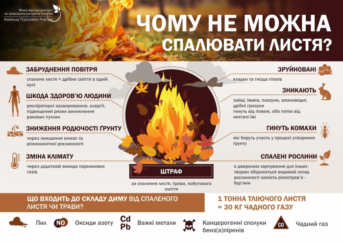 Фото: Державна екологічна інспекція Південного округу