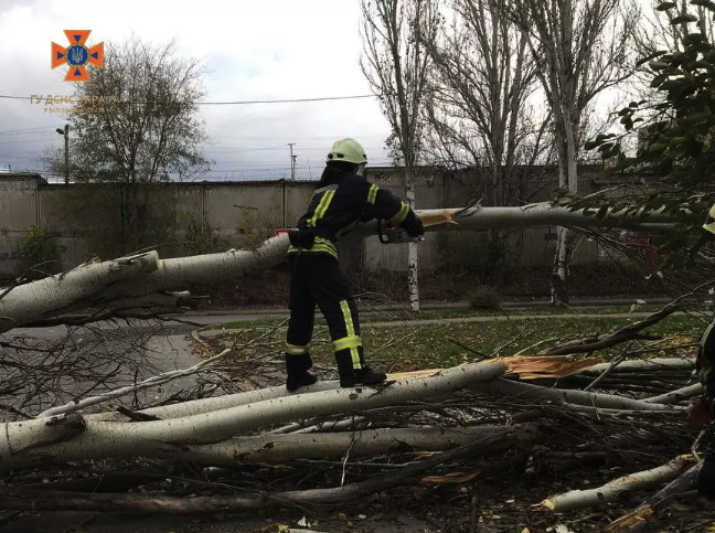 Наслідки вітру у Запоріжжі -