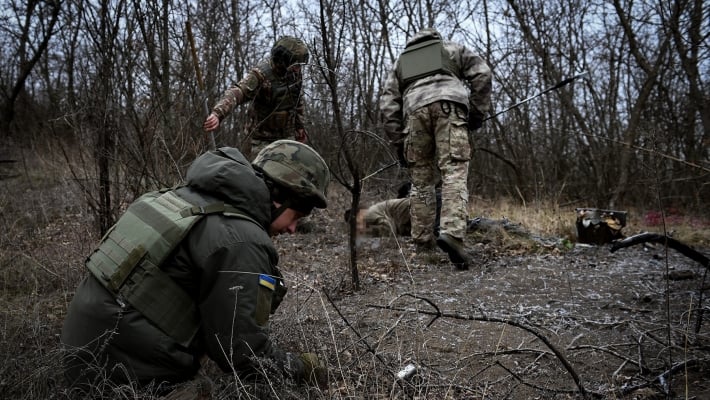 В Запорожской области в лесополосе нашли тело грибника, который погиб от взрыва
