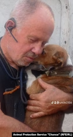 Песик жив пів року сам, с початком повномасштабної війни господарі його покинули