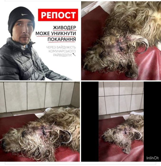 На Космосі чоловік намагався вбити собаку ножем.