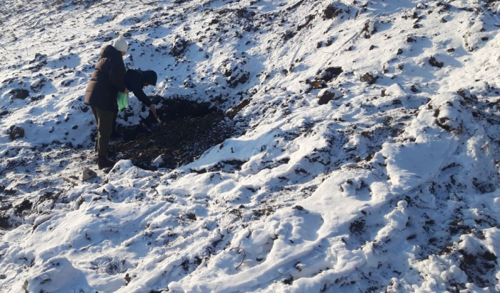 Екоінспектори обстежили територію у Запоріжжі, яка постраждала від ударів 8 січня -