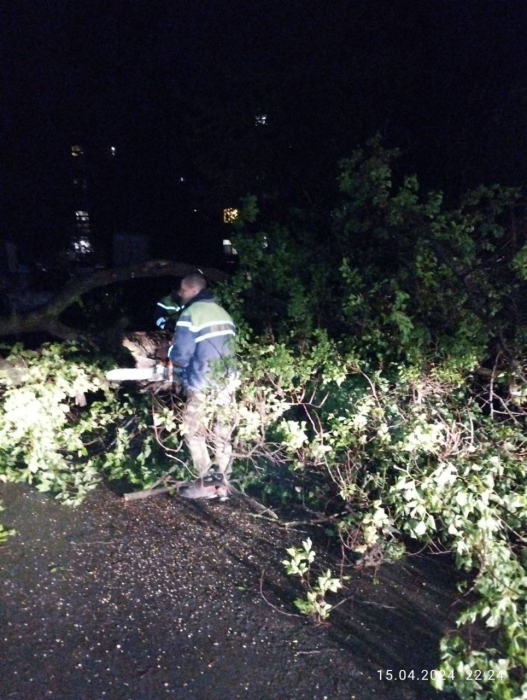 Повалені дерева та зруйновані електромережі: у Запоріжжі усувають наслідки негоди.