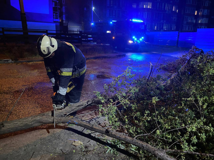 Повалені дерева та зруйновані електромережі: у Запоріжжі усувають наслідки негоди.