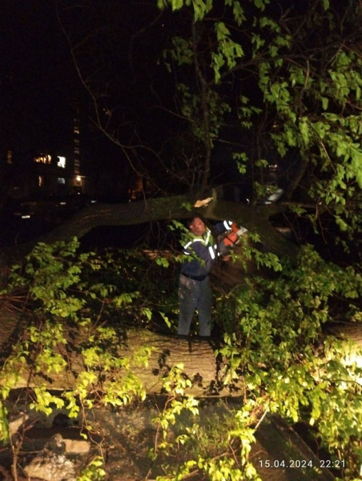 Повалені дерева та зруйновані електромережі: у Запоріжжі усувають наслідки негоди.