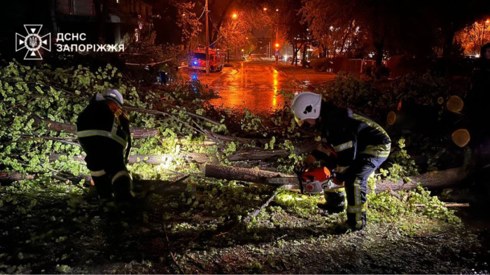 Повалені дерева та зруйновані електромережі: у Запоріжжі усувають наслідки негоди.