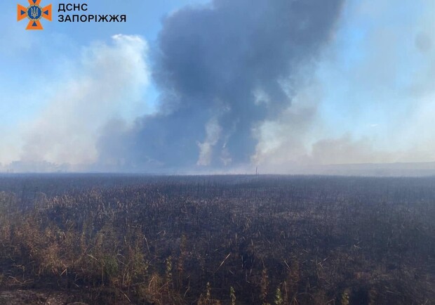 Що відомо про пожежу, дим від якої бачить все Запоріжжя. 