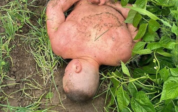 Скандал с Тищенко: полиция установила причастных к нападению на экс-военного в Днепре