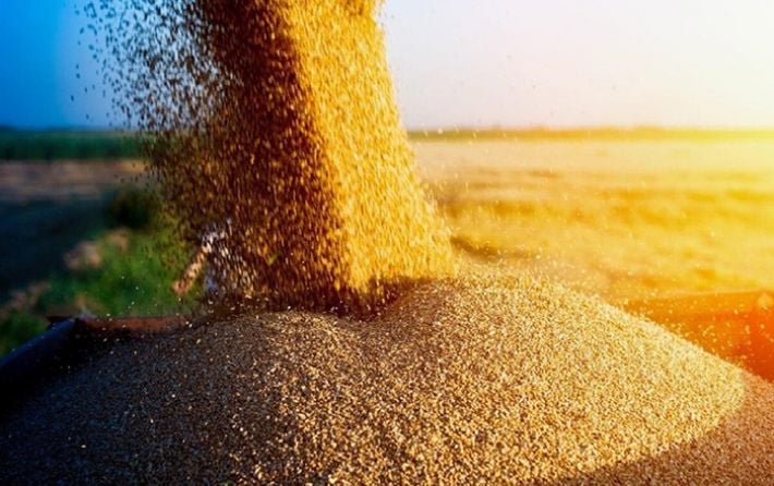 Во временно оккупированном Бердянске рашисты воруют зерно, а зарплаты не платят