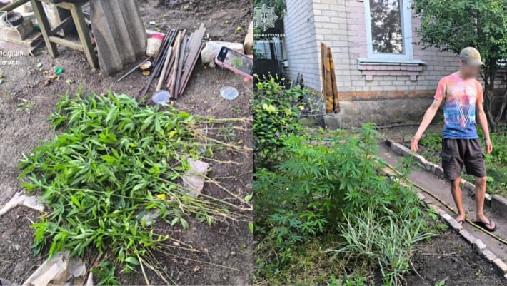В Запорожье у домашнего "садовника" обнаружили плантацию наркорастений