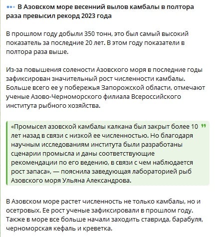 вылов камбалы