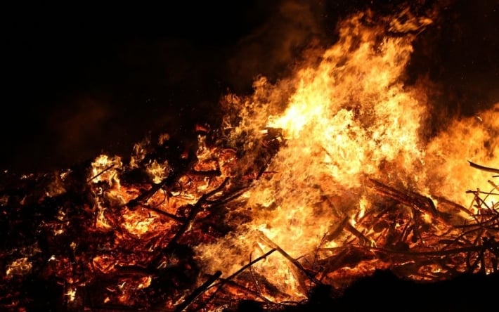 В Харьковской области мощный лесной пожар: жителей села эвакуируют