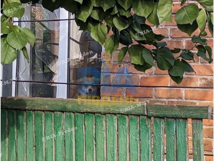 Последствия российского террора Запорожья 10 октября 2024 года