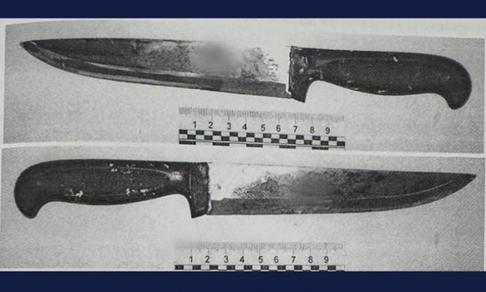 Житель Запорожья приговорен к 15 годам за убийство тестя спустя 7 лет