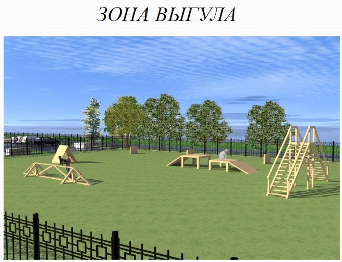 У Запоріжжі хочуть збудувати сучасний притулок для безпритульних тварин.