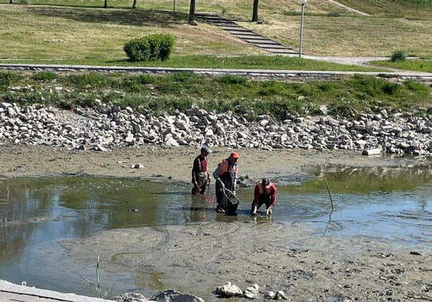 У Запоріжжі обміліли водойми в Дубовці та на Райдузі: коментар голови ОВА -