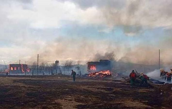 Площадь лесных пожаров в России сравнялась с территорией Черногории