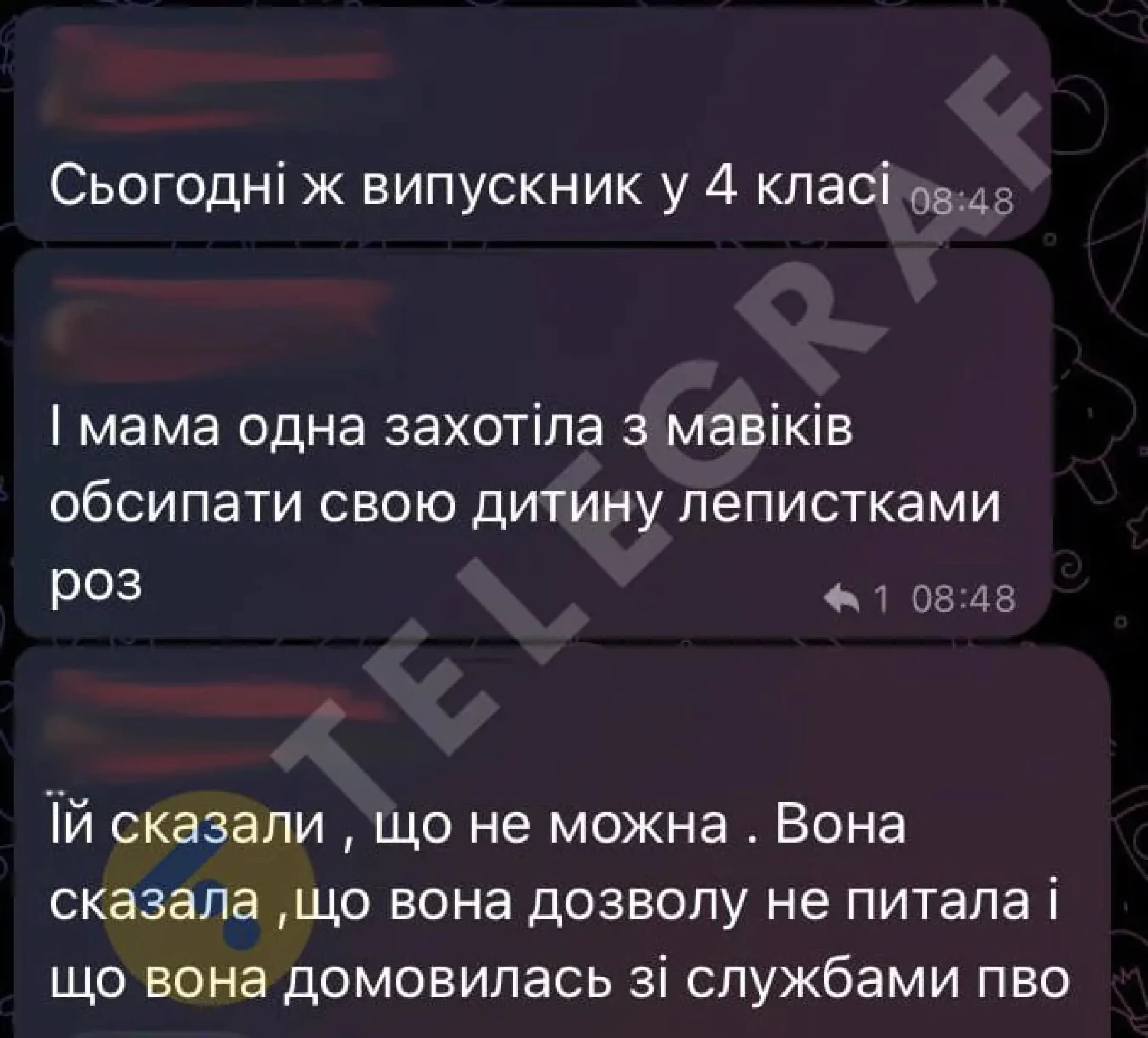 Сама ініціаторка ідеї стверджувала, що нібито із службами протиповітряної оборони 