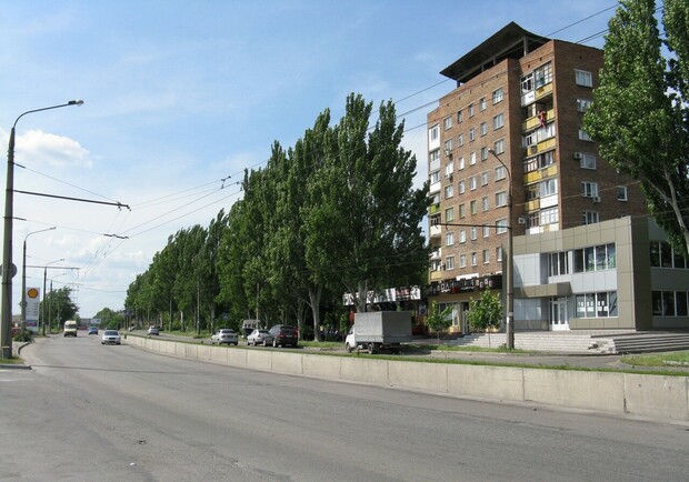 У Запоріжжі дозволили вирубати 37 дерев заради парковки. 
