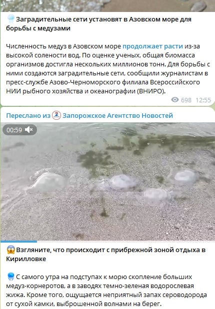 скриншот тг-канала оккупантов
