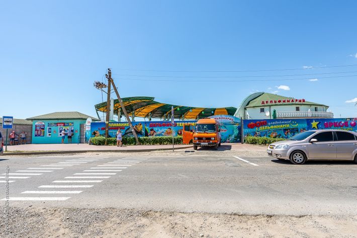 Дельфинарий «Оскар» в Кирилловке: как оккупанты сменили название и поставили своего директора