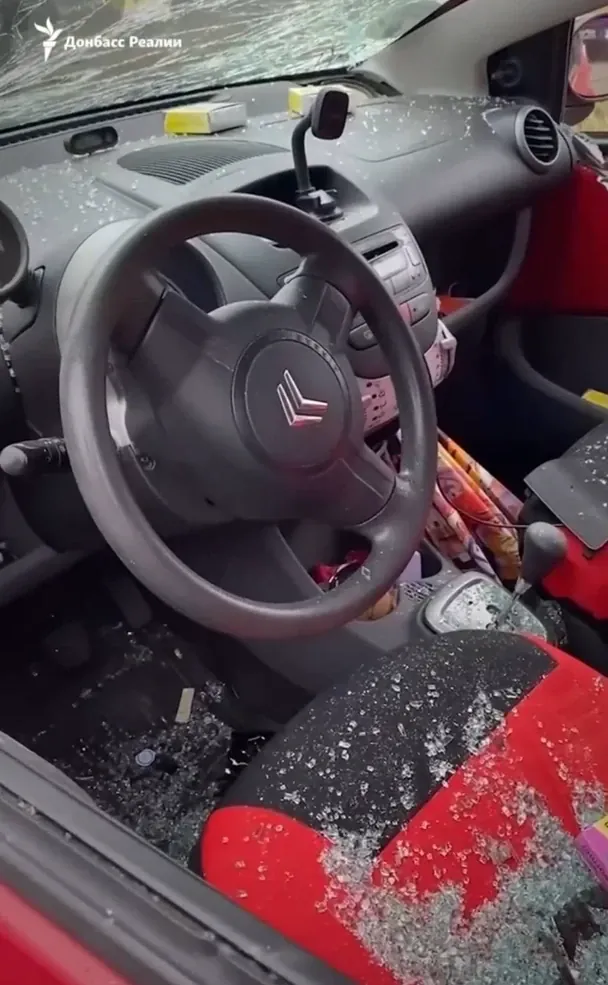 Во время российского обстрела Славянска 30 октября погибла волонтер Елена Полынина, которая помогала бездомным животным на прифронтовых территориях