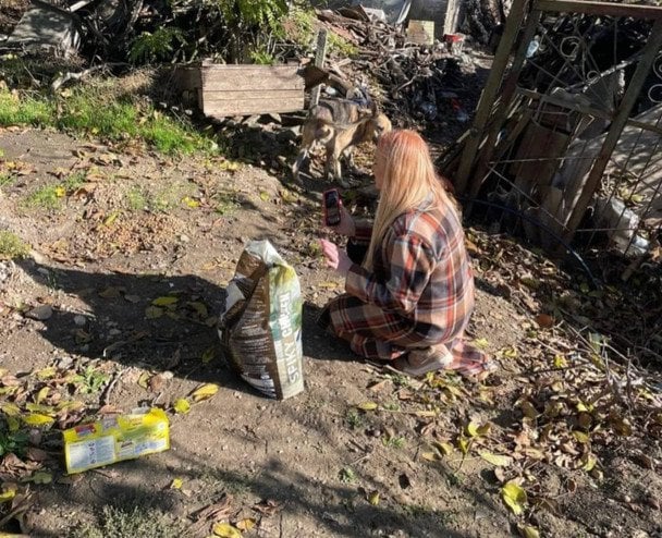 Во время российского обстрела Славянска 30 октября погибла волонтер Елена Полынина, которая помогала бездомным животным на прифронтовых территориях 9