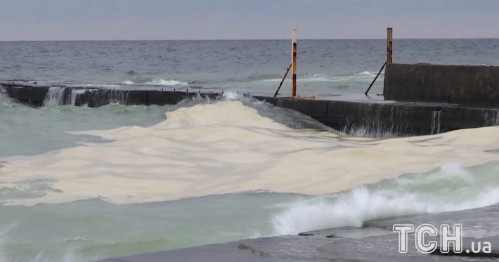 Экологическая катастрофа в Одессе: из-за атаки РФ Черное море покрыли масляные пятна, массово гибнут птицы